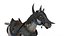 caballo guerrero