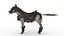 caballo guerrero
