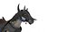 caballo guerrero