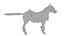 caballo guerrero