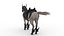 caballo guerrero