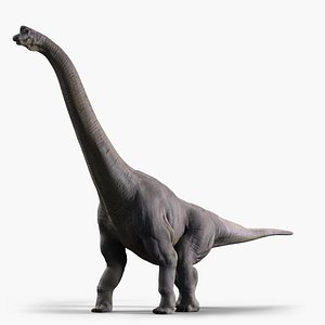 3d model of brachiosaurus dinosaur animate