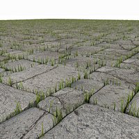 Stone Pavement Grass Floor park garden restaurant outside outdoor outside seating terrace location gone desolate abandoned deserted forsaken countryside plant moss
