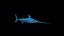 SwordFish