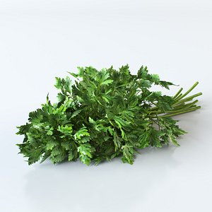 parsley 3d model