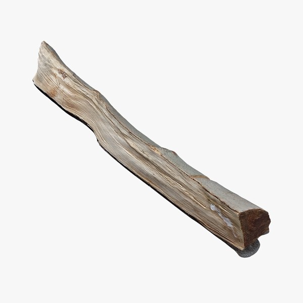 scan wood log 3D model