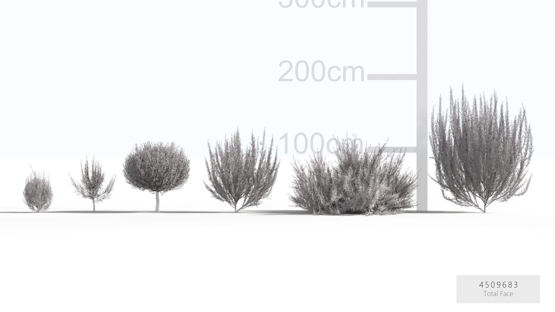 3D Rosemary 3D model https://p.turbosquid.com/ts-thumb/RU/DbkE83/yE/gd_v23_rosemary_wire/jpg/1787418906/1920x1080/fit_q87/7b4d1c8fd4369ca99edf44a71375107800438a63/gd_v23_rosemary_wire.jpg