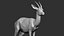 gazelle dorcas Gazella dorcas 3D model