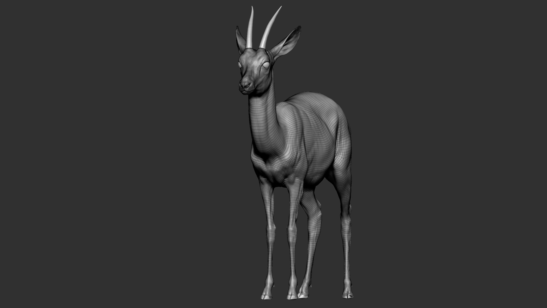 gazelle dorcas Gazella dorcas 3D model https://p.turbosquid.com/ts-thumb/RU/IifcaO/3N/29/jpg/1664074056/1920x1080/fit_q87/d2f45663ed876f9c5674954299f28da75a6df446/29.jpg