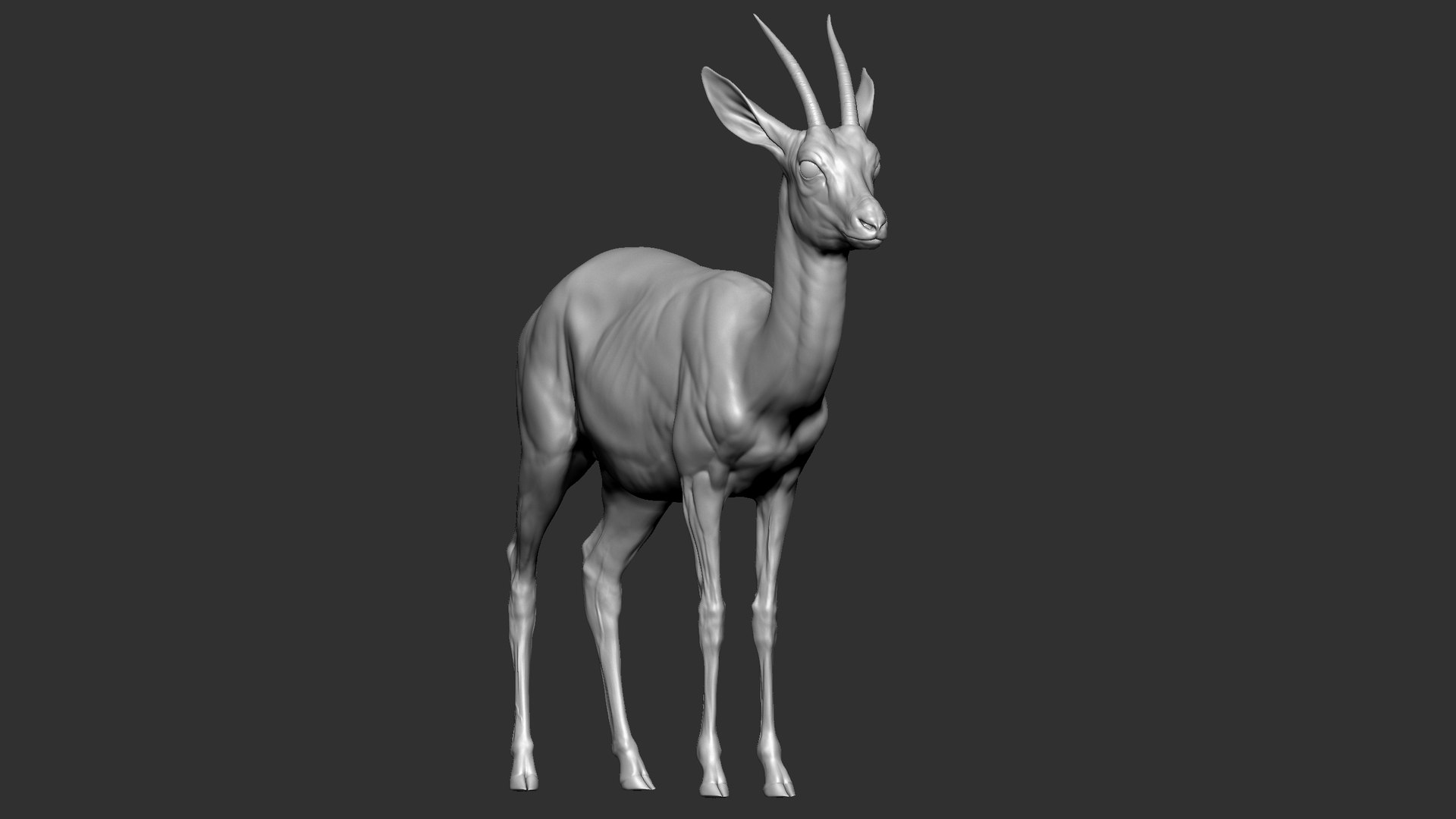 gazelle dorcas Gazella dorcas 3D model https://p.turbosquid.com/ts-thumb/RU/IifcaO/9A/24/jpg/1664074053/1920x1080/fit_q87/4cc95ce707ba9de60a20dbe8b29ae4fb923c6638/24.jpg