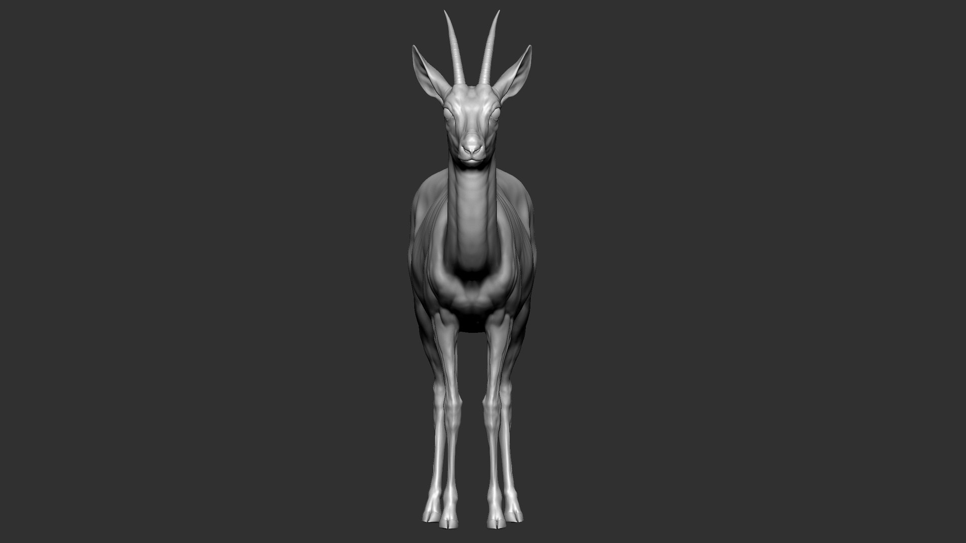 gazelle dorcas Gazella dorcas 3D model https://p.turbosquid.com/ts-thumb/RU/IifcaO/Cl/22/jpg/1664074052/1920x1080/fit_q87/41b6f7e9d283ccb0c546b4c886afdb3f4874b10c/22.jpg