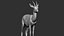 gazelle dorcas Gazella dorcas 3D model