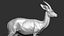 gazelle dorcas Gazella dorcas 3D model