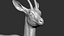 gazelle dorcas Gazella dorcas 3D model