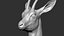 gazelle dorcas Gazella dorcas 3D model