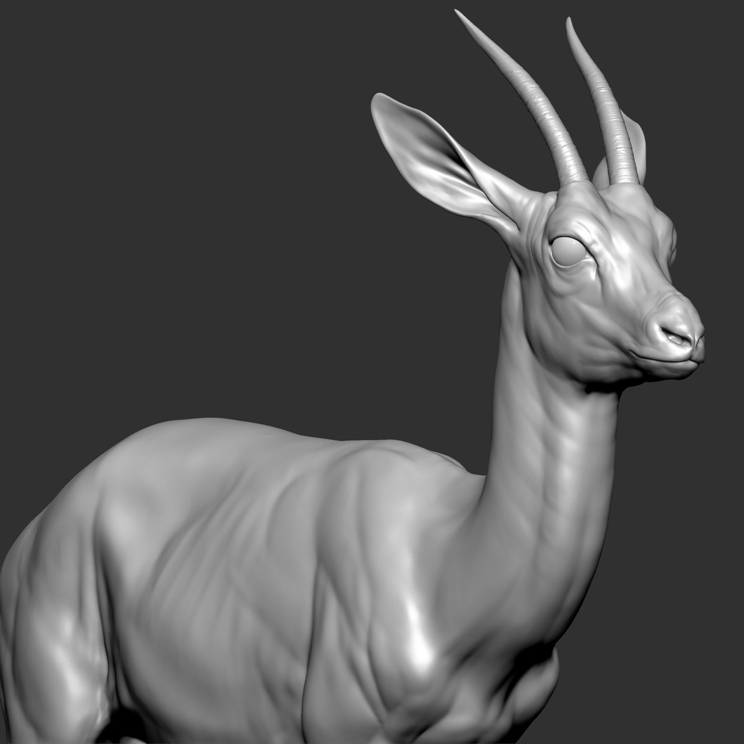 gazelle dorcas Gazella dorcas 3D model https://p.turbosquid.com/ts-thumb/RU/IifcaO/oR/ava2/jpg/1664074243/1920x1080/fit_q87/2165a89eebef129576c948b1e6567a8239361a44/ava2.jpg
