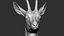 gazelle dorcas Gazella dorcas 3D model