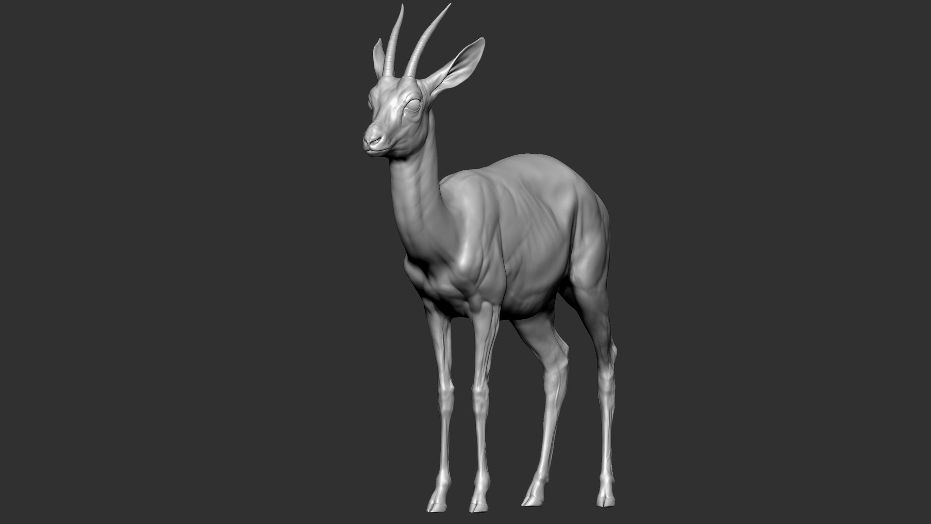 gazelle dorcas Gazella dorcas 3D model https://p.turbosquid.com/ts-thumb/RU/IifcaO/xT/27/jpg/1664074055/1920x1080/fit_q87/92a4009f3abf21a3215131f675ff81595e0fcf04/27.jpg