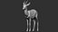 gazelle dorcas Gazella dorcas 3D model