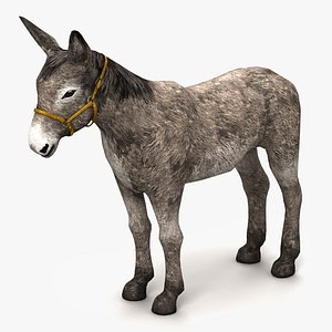 3dsmax donkey