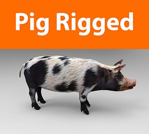pig rigged(1)