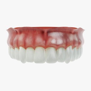 3D model human dentures upper jaw