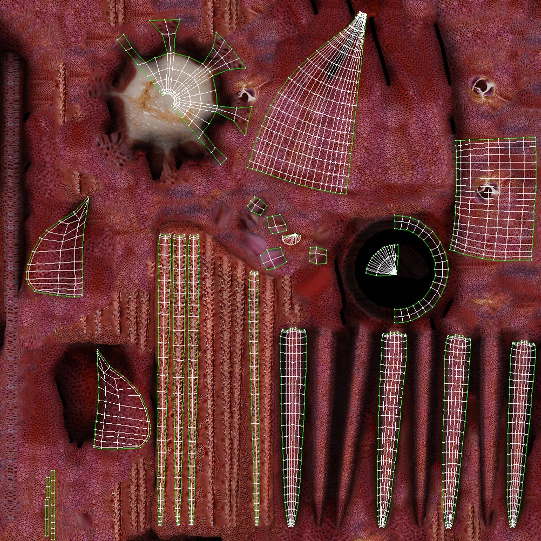 Animated squid 3D https://p.turbosquid.com/ts-thumb/RU/fbYQ08/J9/uv/jpg/1716626056/1920x1080/fit_q87/5f339df9e67e3f30e015c970b420c079d8d5021e/uv.jpg