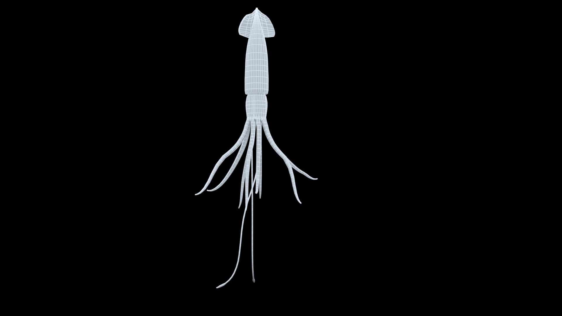 Animated squid 3D https://p.turbosquid.com/ts-thumb/RU/fbYQ08/Ok/z002/jpg/1716626052/1920x1080/fit_q87/61bb0a26117550d09654f1e62a1a81e5767b65cb/z002.jpg
