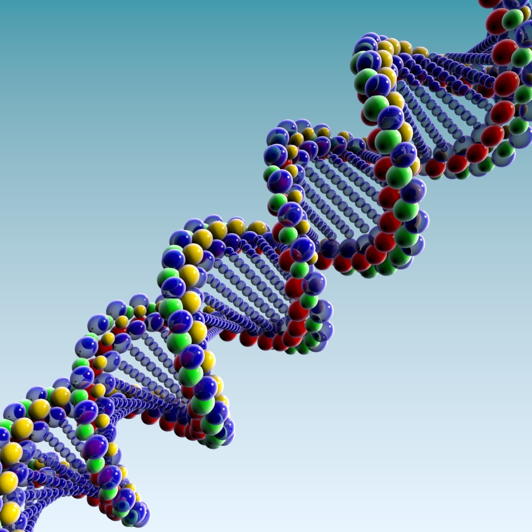 3D model dna array blender - TurboSquid 1221239