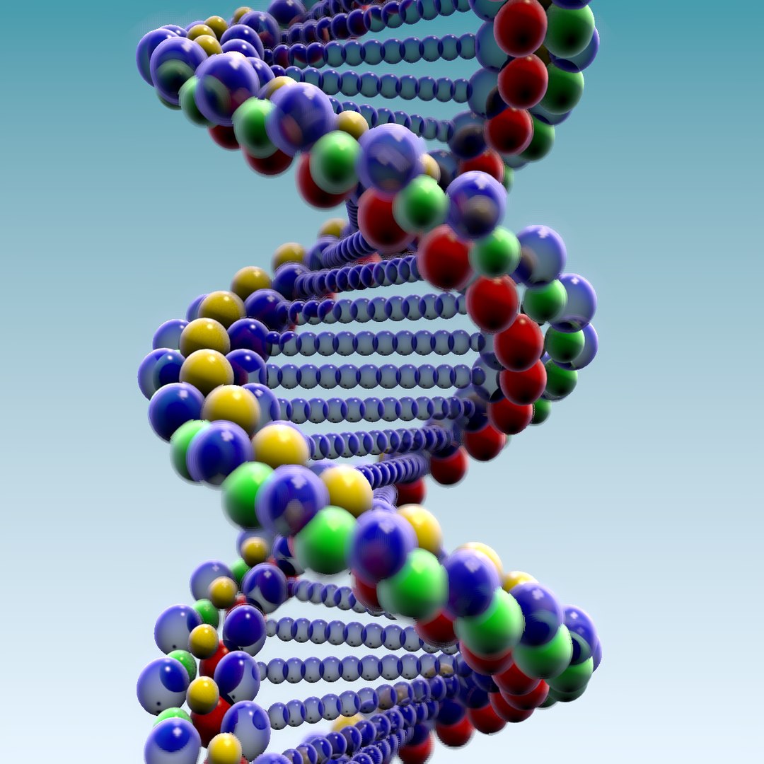 3D model dna array blender - TurboSquid 1221239