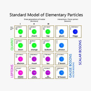 3D standard elementary particles