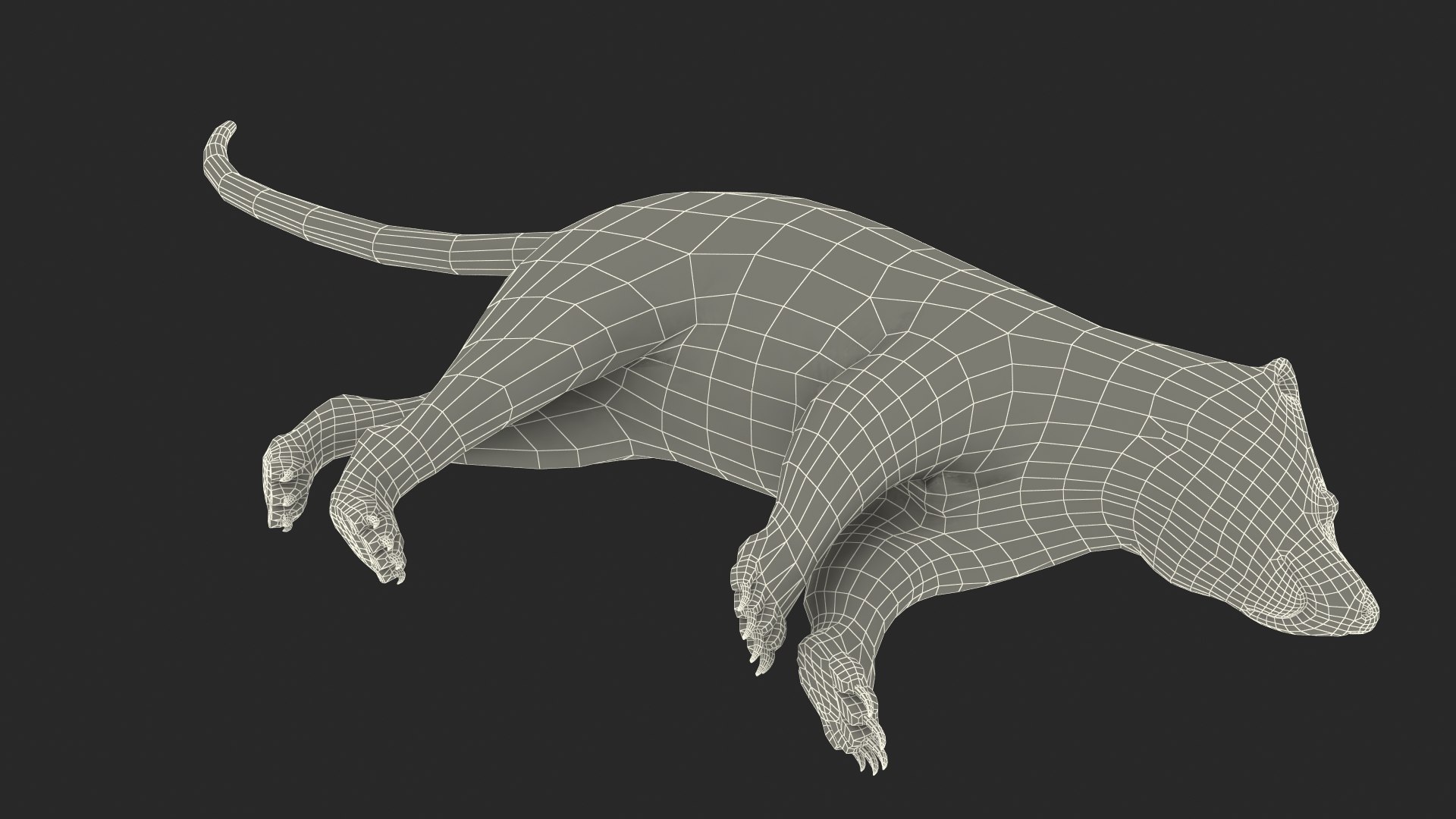 Skunk Lying Fur 3D Model - TurboSquid 2110849