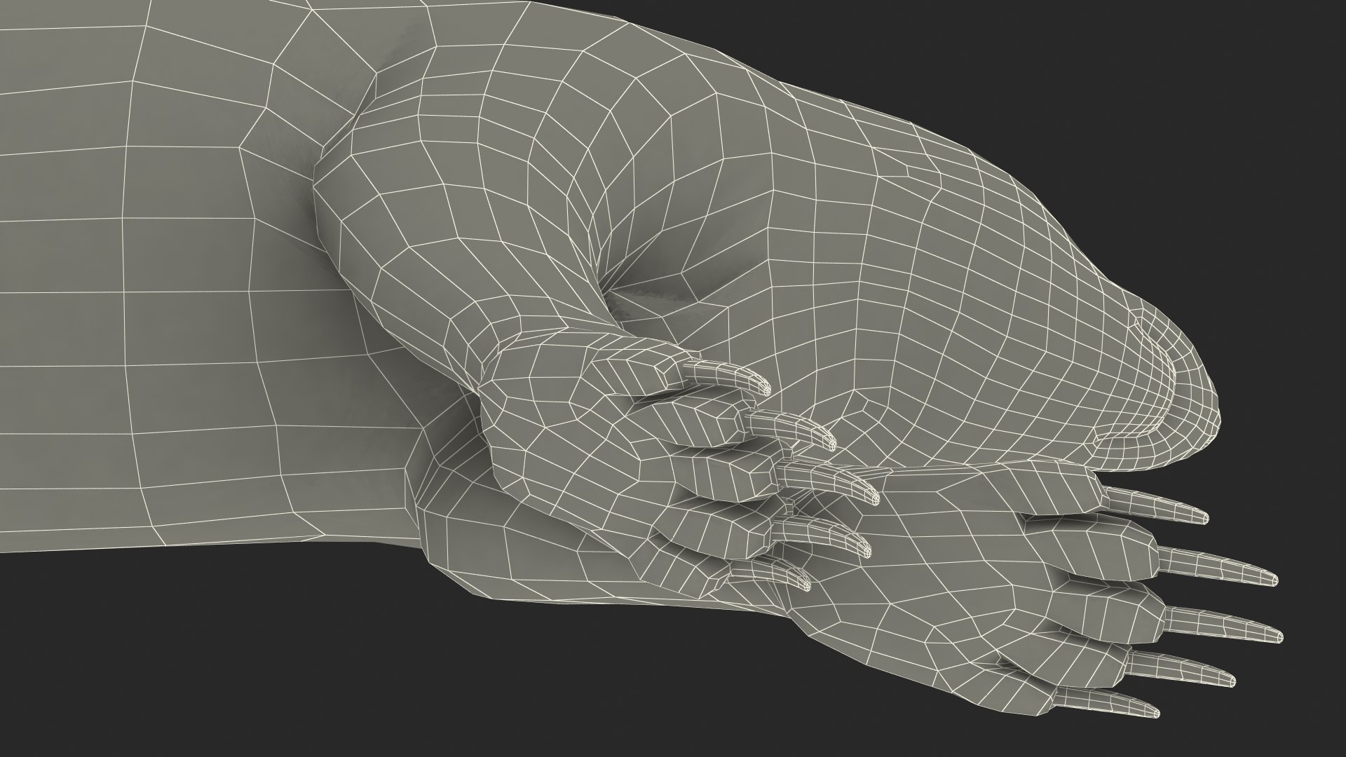 Skunk Lying Fur 3D Model - TurboSquid 2110849