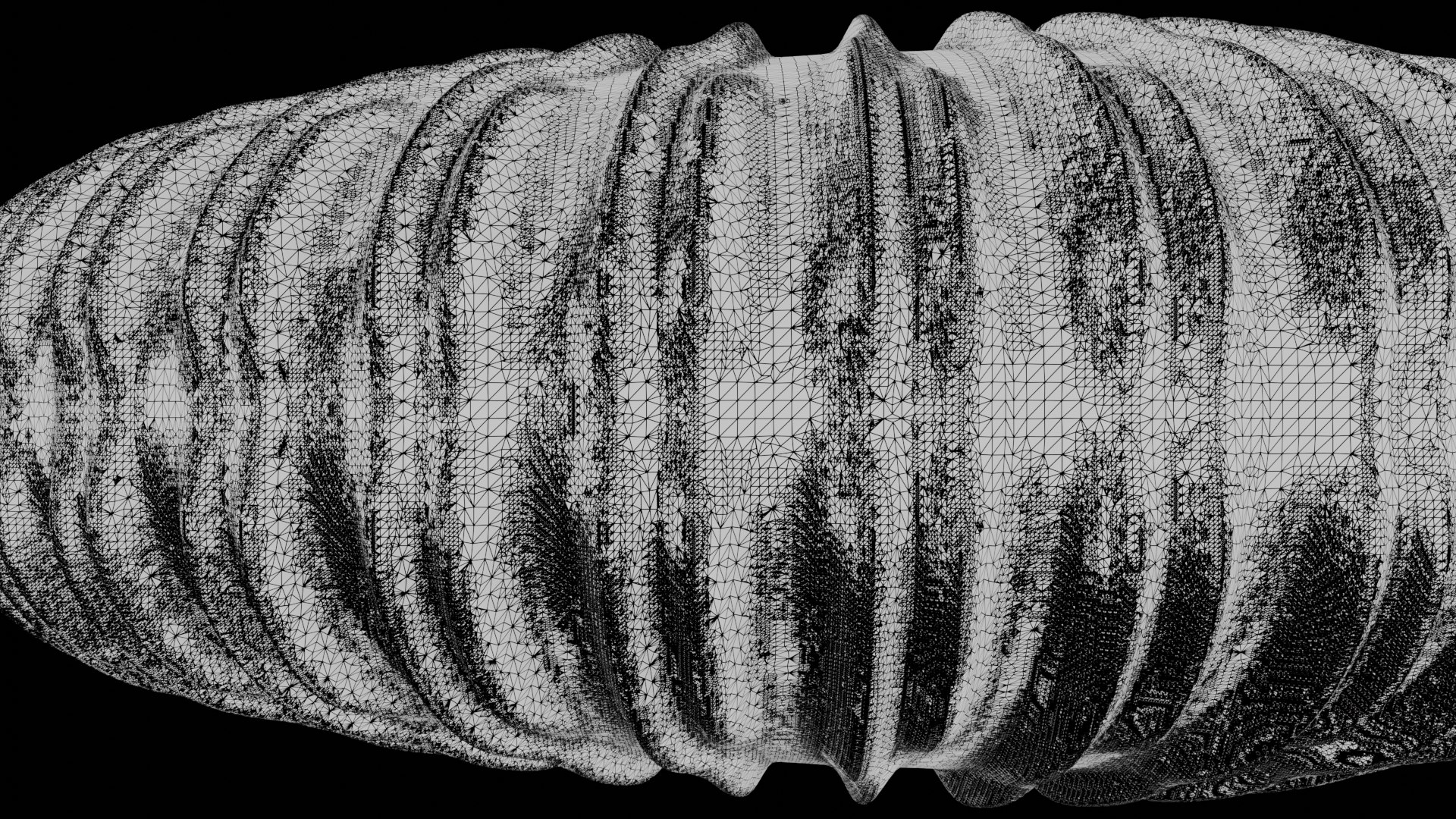 3D Ammonoid Shell With Monoschizotomous Bipartite Ribs Model ...