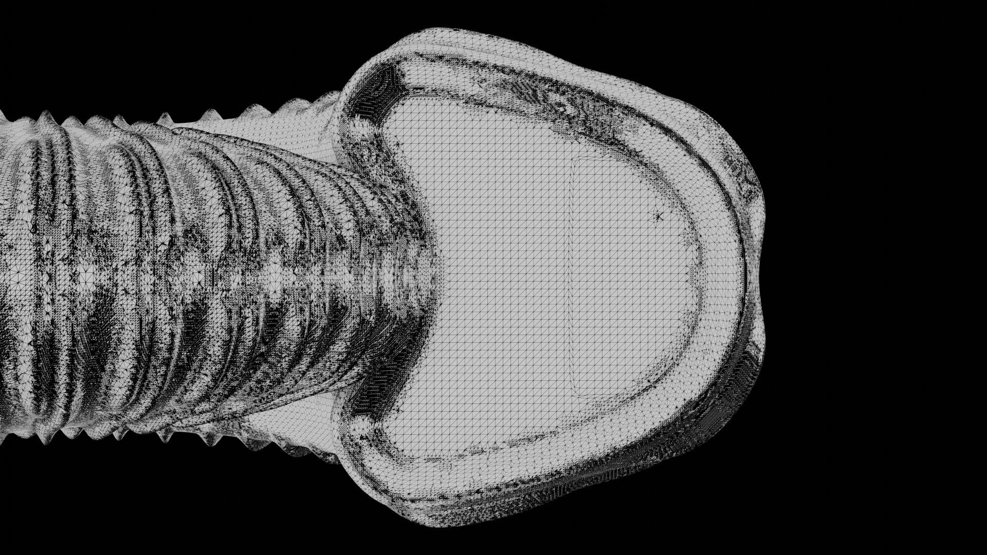 3D Ammonoid Shell With Monoschizotomous Bipartite Ribs Model ...
