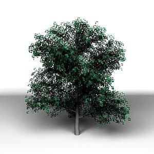 3d model tree