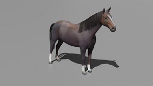 Realistic 3D Horse Model 3D model