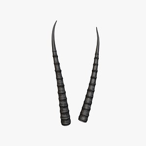 Horn V4