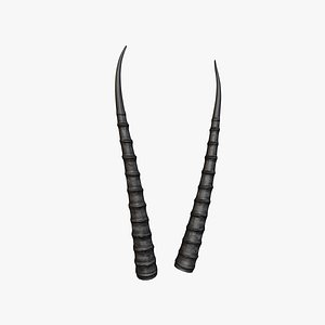 Horn V4