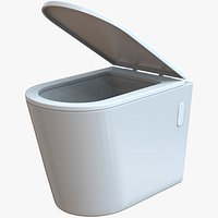 Toilet Bidet