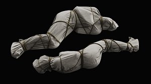 Covered Corpse 11 a