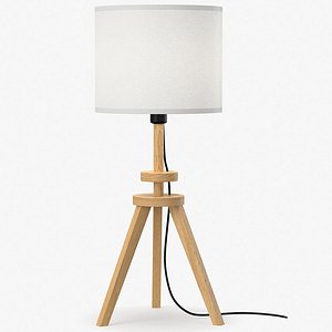 3D lamp wood light