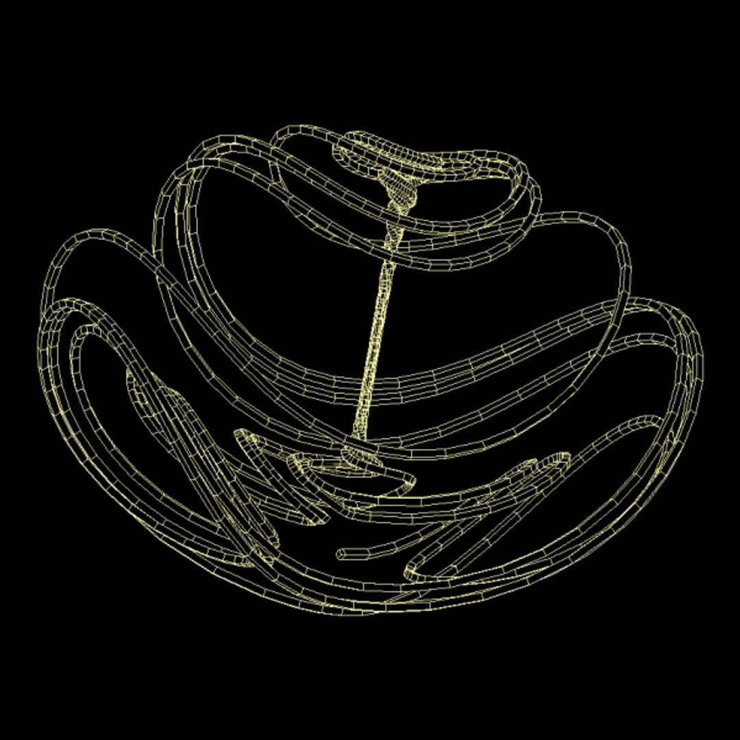 Tsucs Strange Attractor 3D Model - TurboSquid 1262869