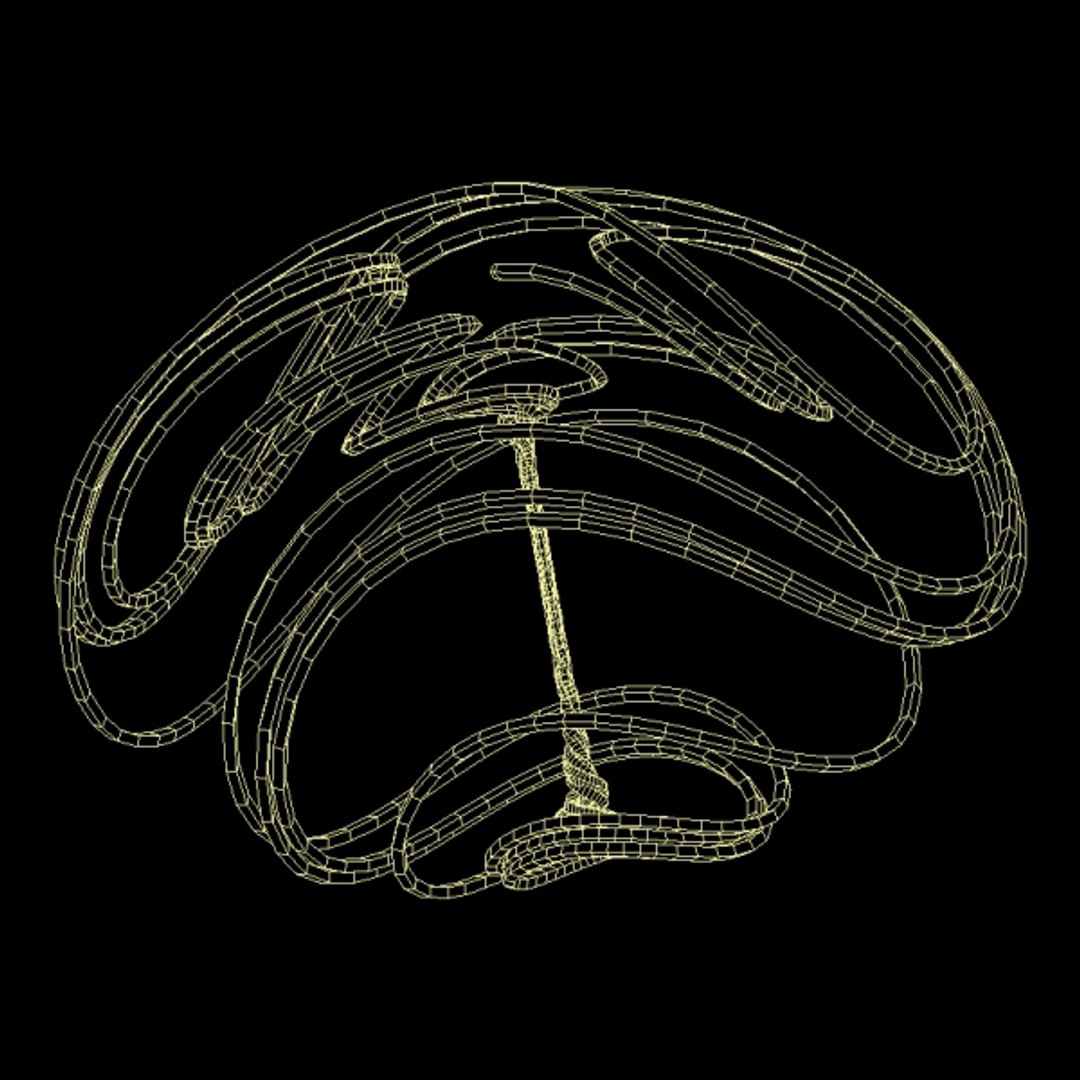 Tsucs Strange Attractor 3D Model - TurboSquid 1262869