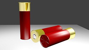 Shotgun Shell