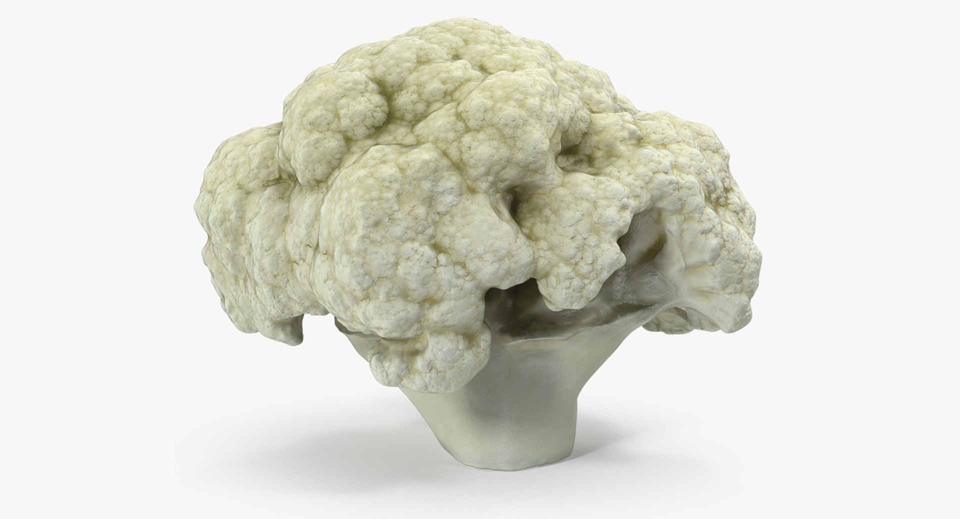 Cauliflower Piece 3D model preview