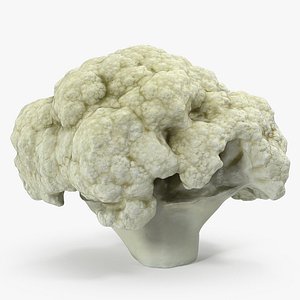 3D cauliflower piece model