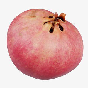Pomegranate Remastered