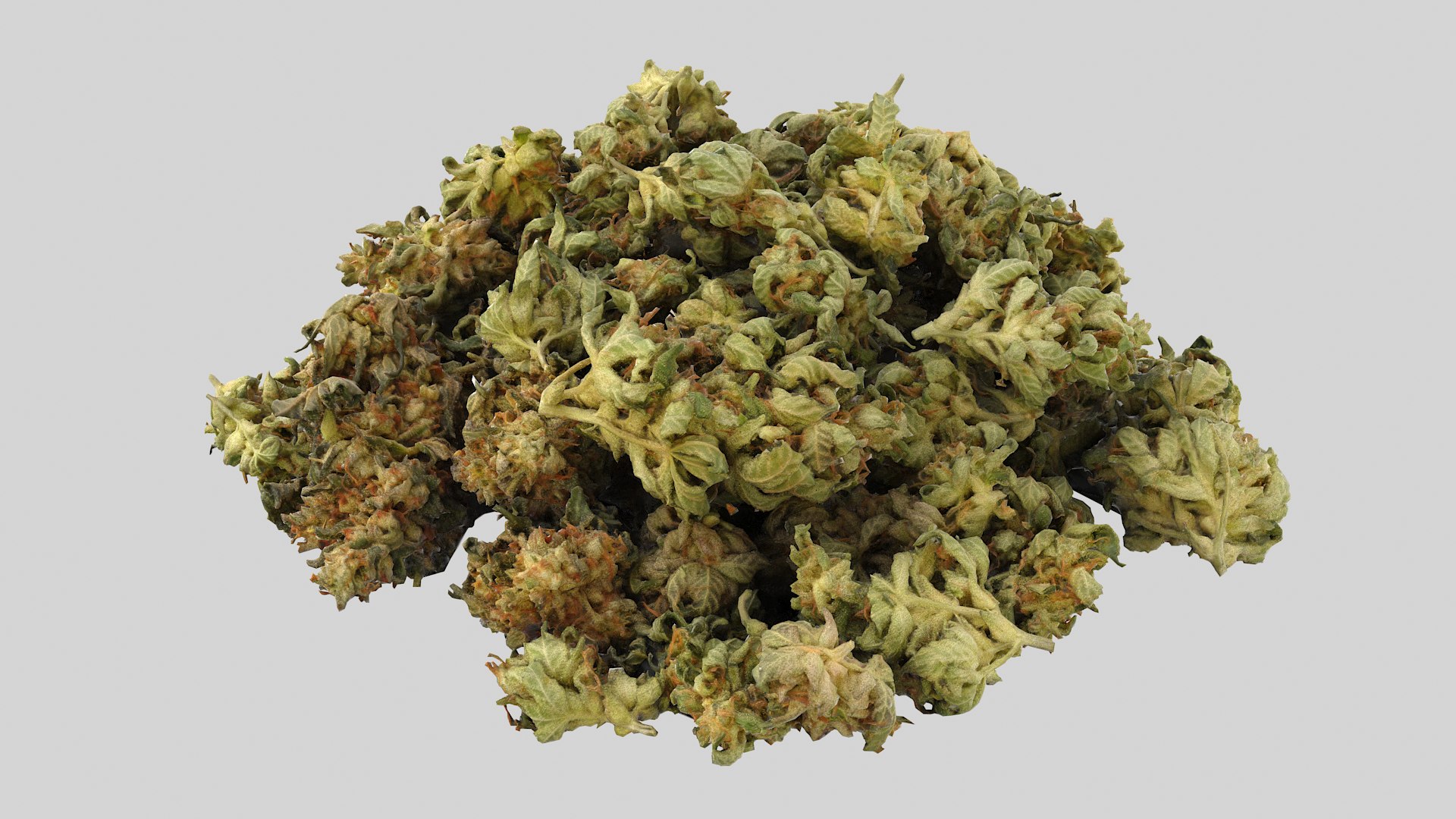 Cannabis Buds 02 3D model https://p.turbosquid.com/ts-thumb/RW/07sYVh/2u/cannabispile01_r5/png/1664134143/1920x1080/fit_q87/bf019e831dd4b1f75f2caf6caade0c26c65ceb18/cannabispile01_r5.jpg
