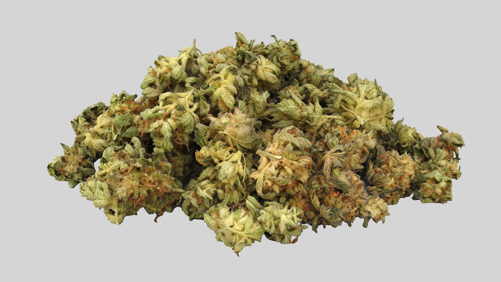 Cannabis Buds 02 3D model https://p.turbosquid.com/ts-thumb/RW/07sYVh/2z/cannabispile01_r4/png/1664134145/1920x1080/fit_q87/1872c74f403d44906e4b3c636340095869fb182e/cannabispile01_r4.jpg